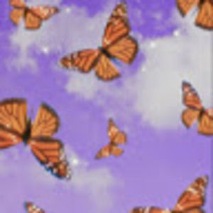 Meet your Posher, Corina